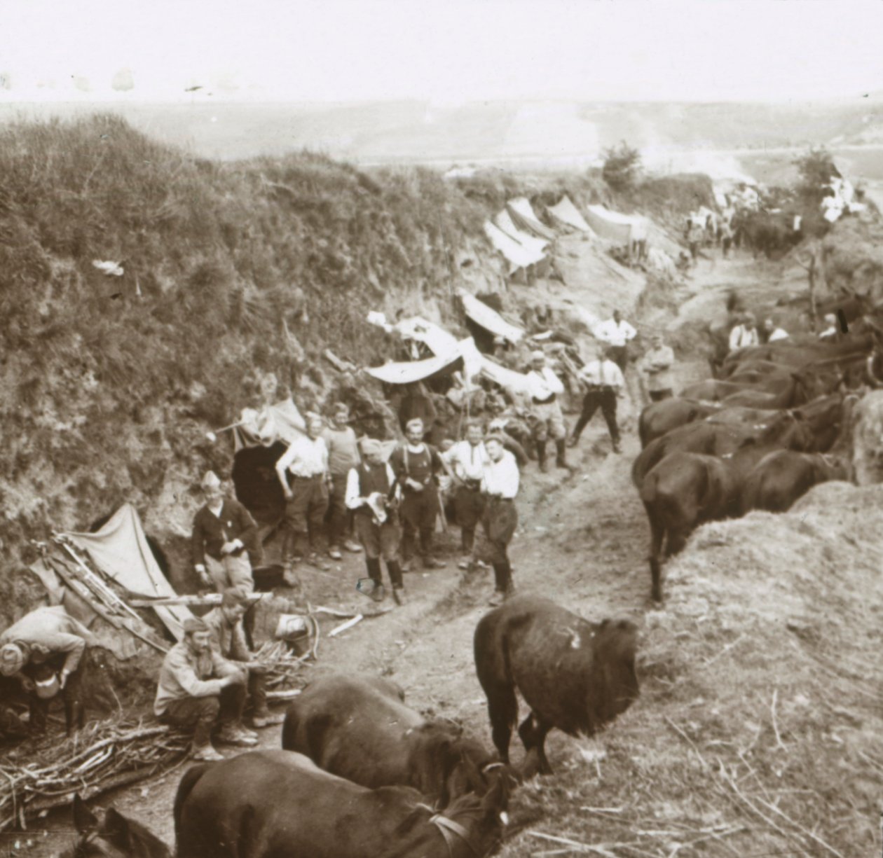 Ratsuväki, 1914-1918 tekijältä Unbekannt