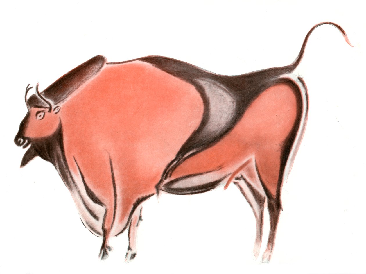 Luolamaalaus biisonista Altamiran luolasta, Espanja, 1933-1934 tekijältä Unbekannt