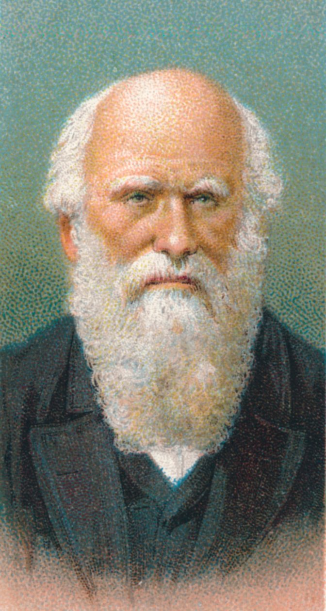 Charles Darwin 1809-1882, brittiläinen luonnontieteilijä, 1924 tekijältä Unbekannt