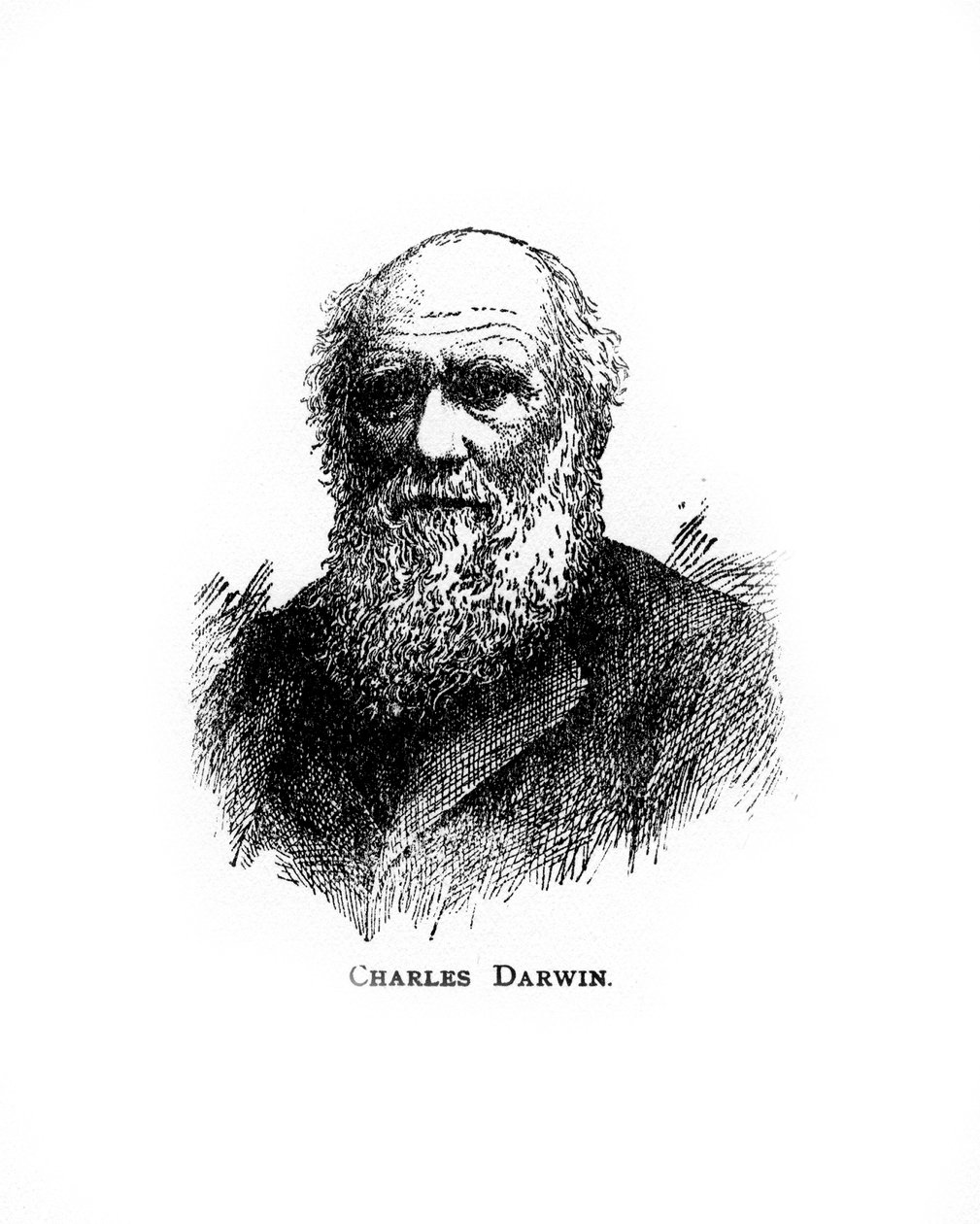 Charles Darwin, 1800-luvun brittiläinen luonnontieteilijä, 1900-luku tekijältä Unbekannt