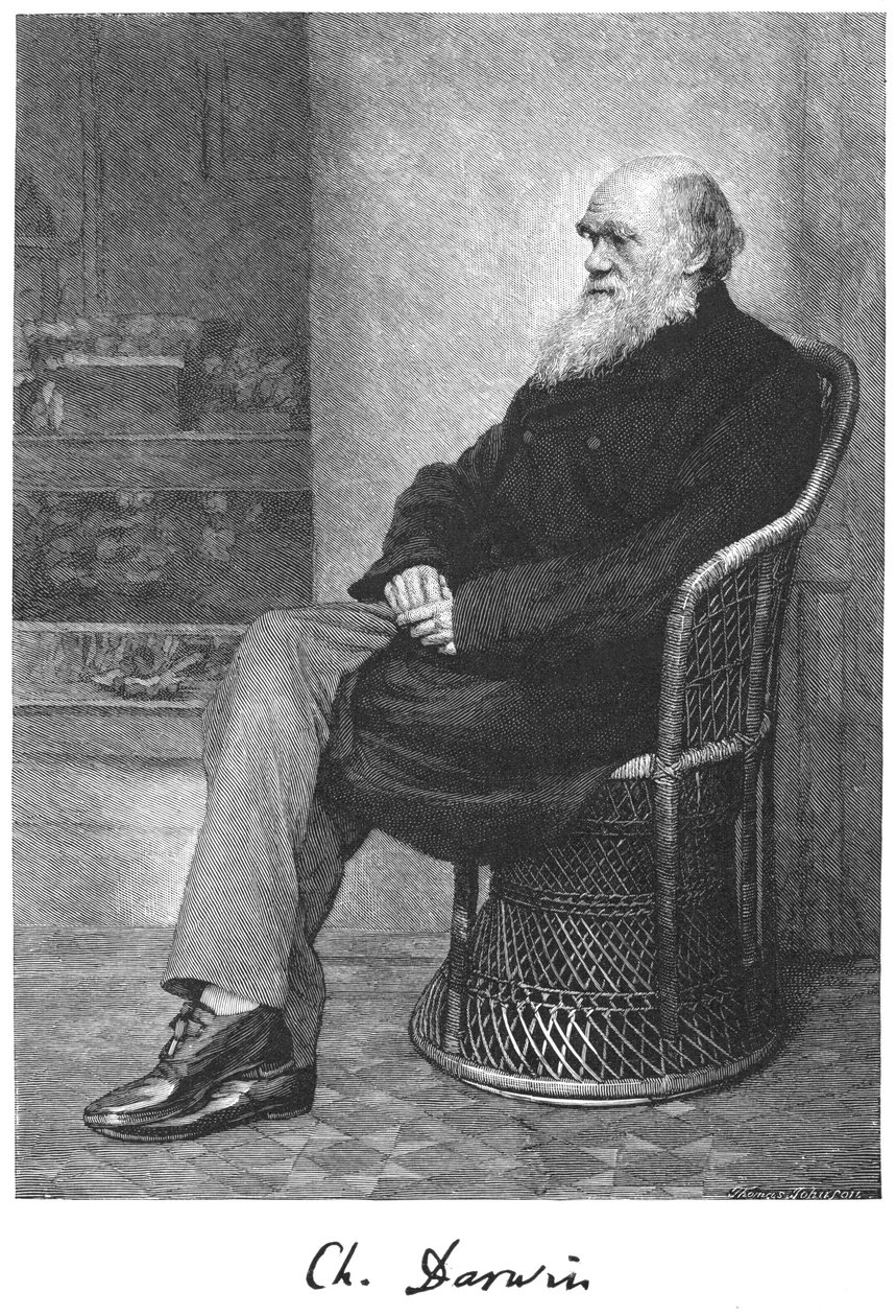 Charles Darwin, englantilainen luonnontieteilijä, 1883 tekijältä Unbekannt