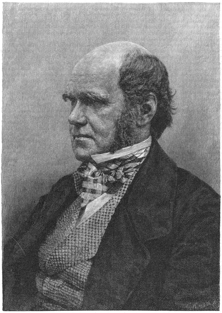 Charles Darwin, englantilainen luonnontieteilijä, 1884 tekijältä Unbekannt