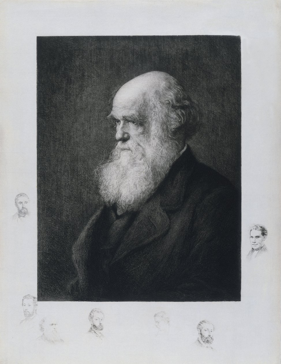 Charles Darwin, englantilainen luonnontieteilijä, n. 1860-luku tekijältä Unbekannt