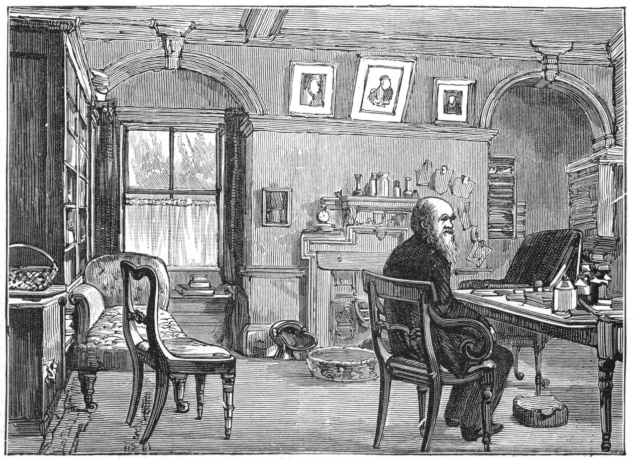 Charles Darwin, englantilainen luonnontieteilijä, tutkimuksessaan, n. 1870 1887 tekijältä Unbekannt