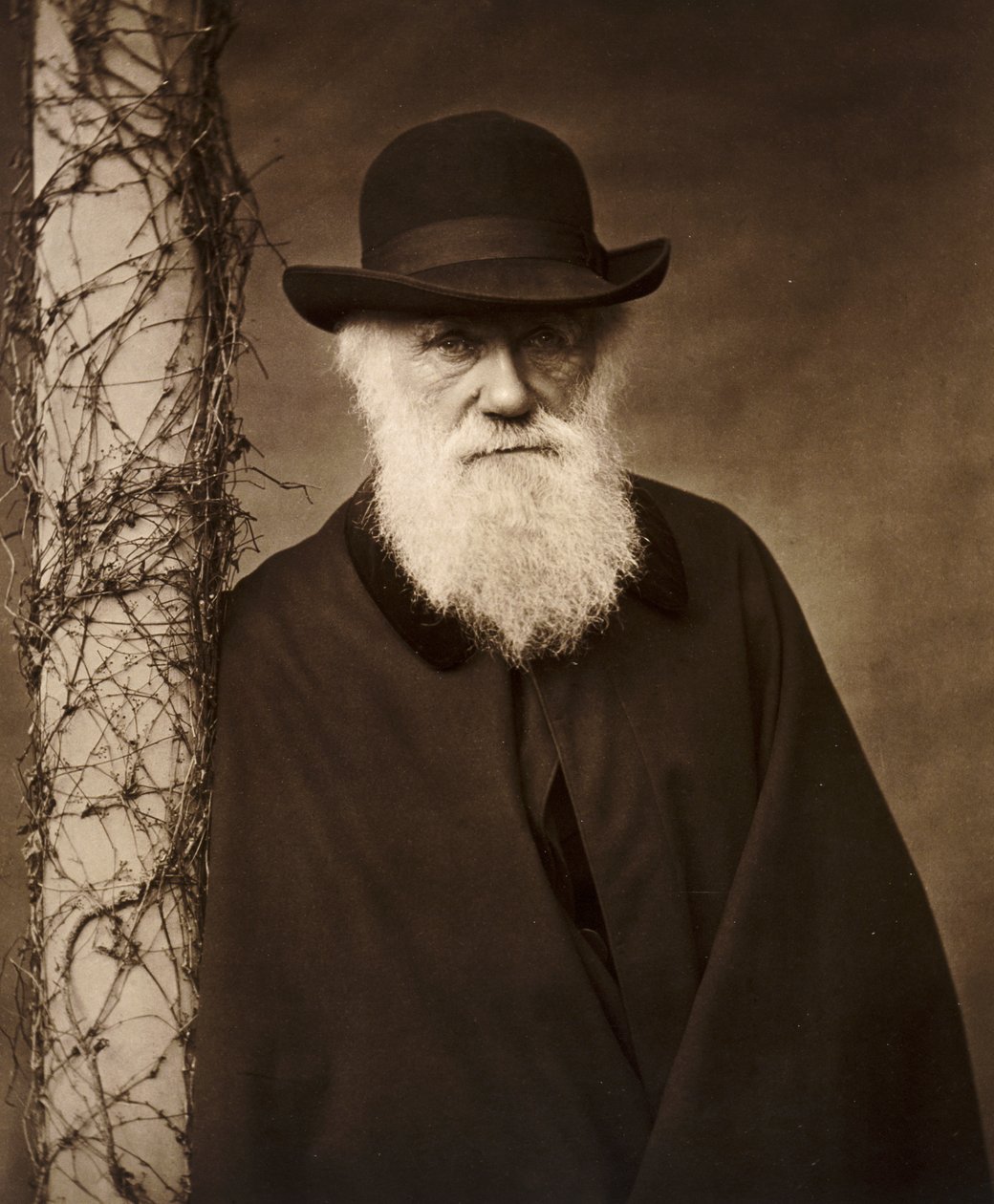Charles Darwin kotonaan Down Housessa, Kentissä, vuodelta 1880 tekijältä Unbekannt