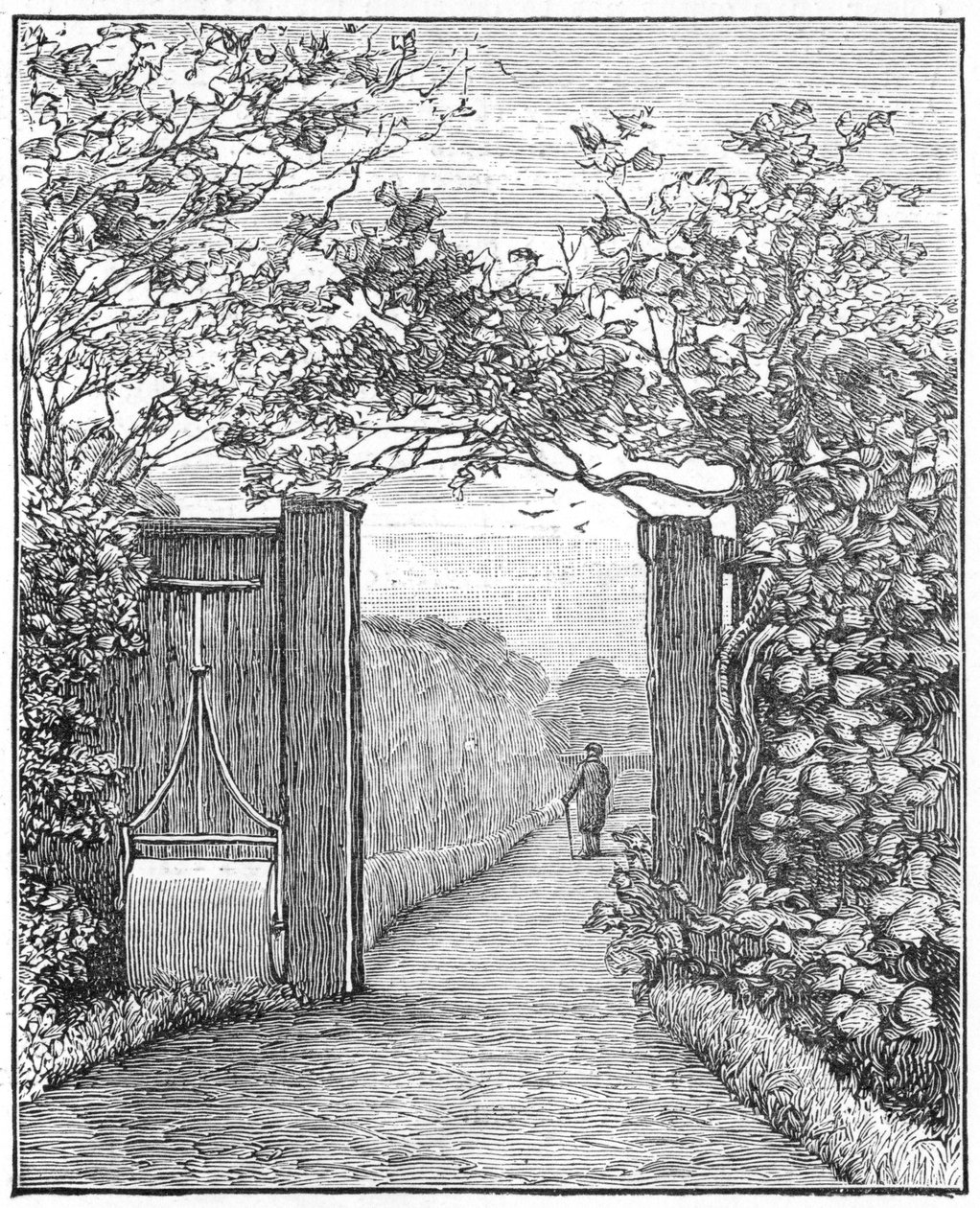 Charles Darwin hiekkakävelyllä Down Housessa, n. 1870 1887 tekijältä Unbekannt
