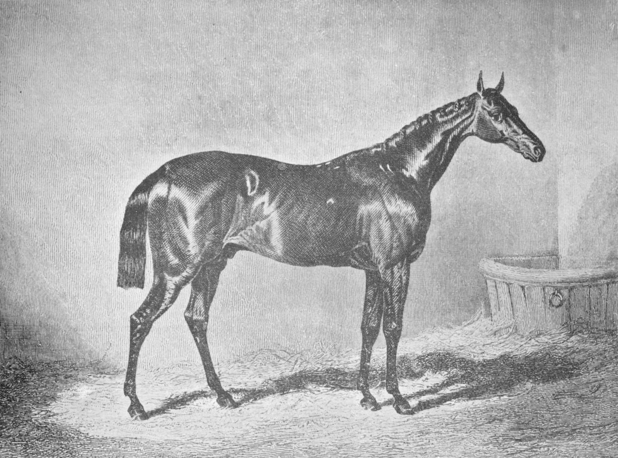 Kaarle XII, St. Legerin voittaja 1839, 1911 tekijältä Unbekannt