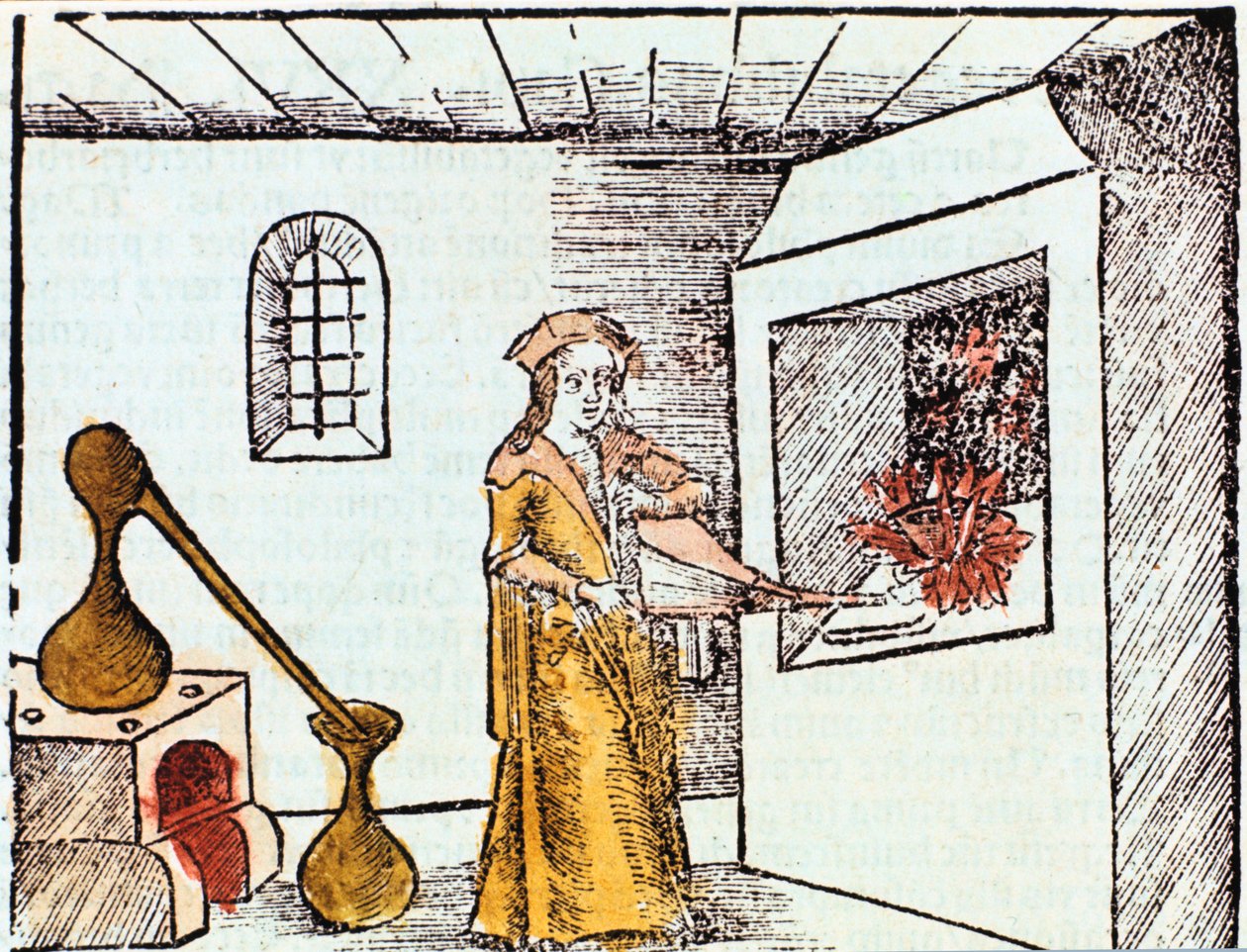 Kemisti, 1508 tekijältä Unbekannt