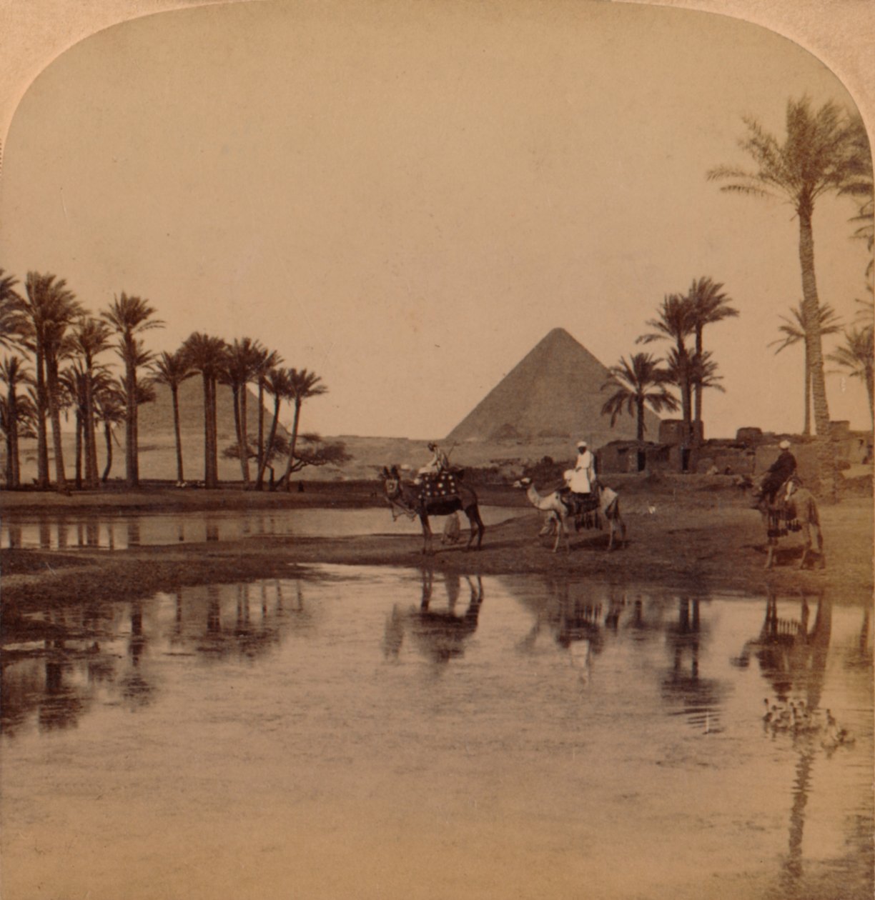 Cheops hedelmällisestä Niilin laaksosta Egyptistä, 1896 tekijältä Unbekannt