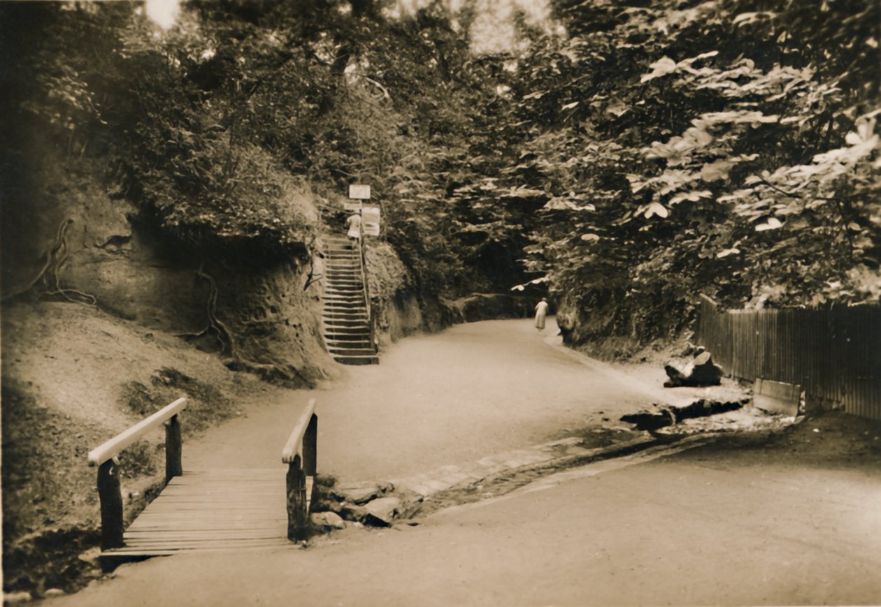 Chine Hollow, Shanklin, I.W., 1920. tekijältä Unbekannt