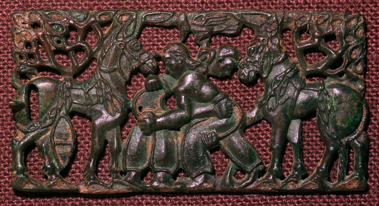 Valkoinen pääskyläkiinalainen pronssinen painimiesten valjaat, 5. vuosisadalla eKr. - Cynanchum vincetoxicum (Asclepias), kirjoittanut Leonhart Fuchs julkaisusta De historia stirpium commentarii insignes (merkittäviä kommentteja kasvien historiasta) värill tekijältä Unbekannt