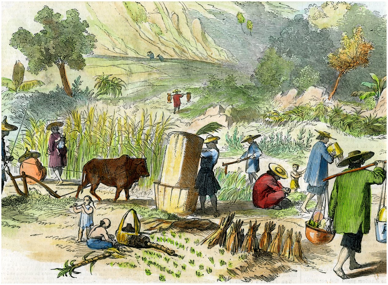 Kiinan sato, Hongkong, c1875 tekijältä Unbekannt