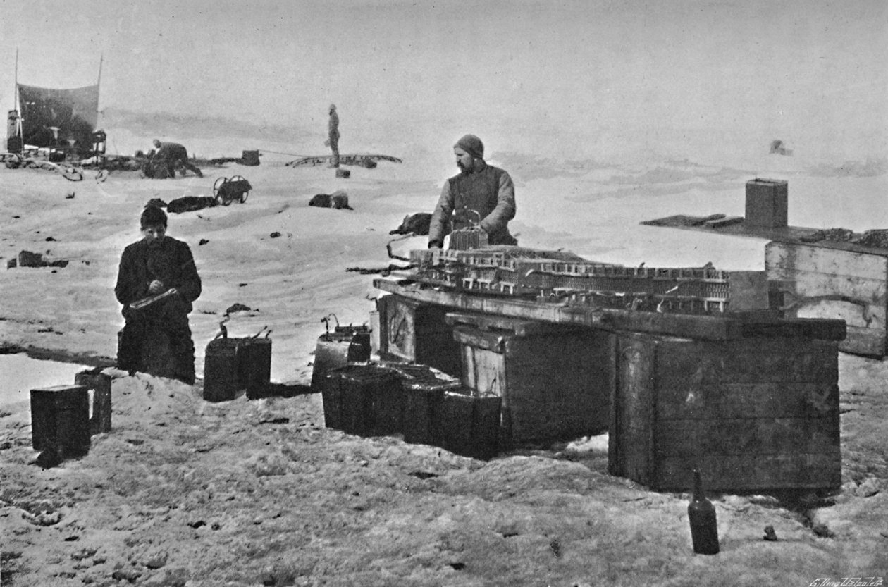 Akkujen puhdistaminen ennen varastointia. heinäkuuta 1895 1897 tekijältä Unbekannt