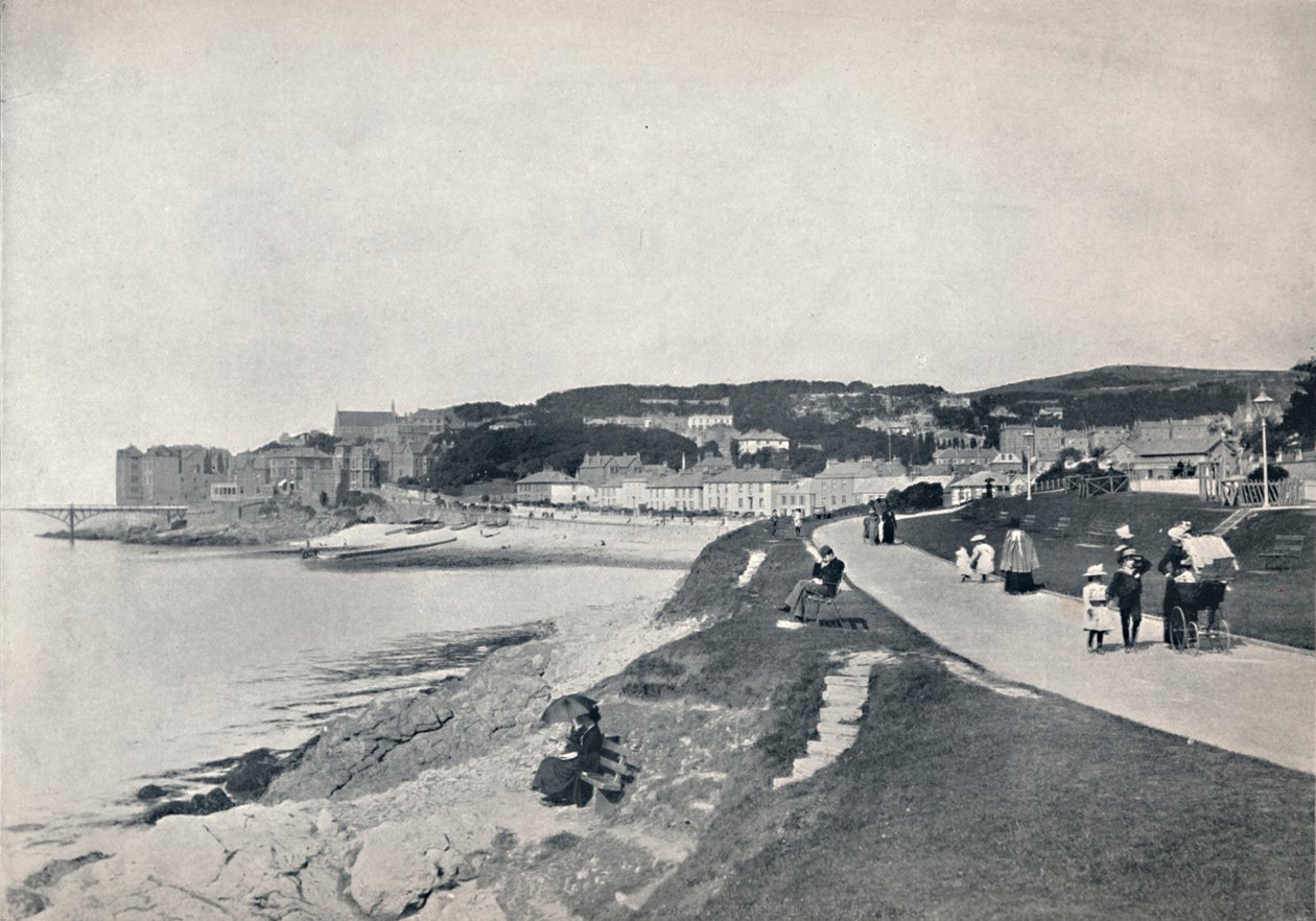 Clevedon - Green Beach, 1895 tekijältä Unbekannt