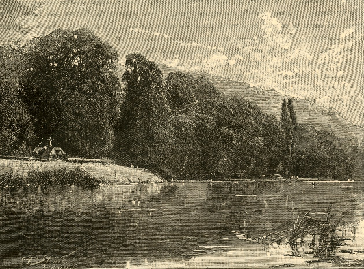 Cliefden Woods, 1898. tekijältä Unbekannt