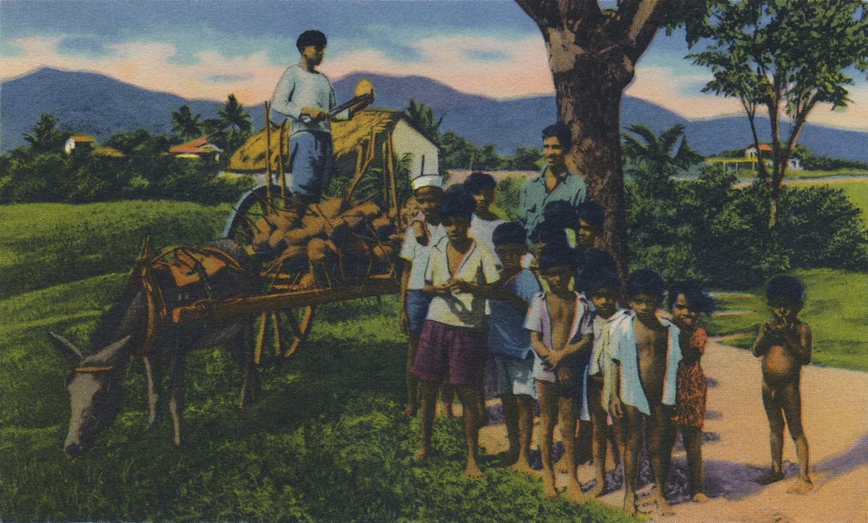 Coconut Vendor, Trinidad, B.W.I., 1940-luku. tekijältä Unbekannt