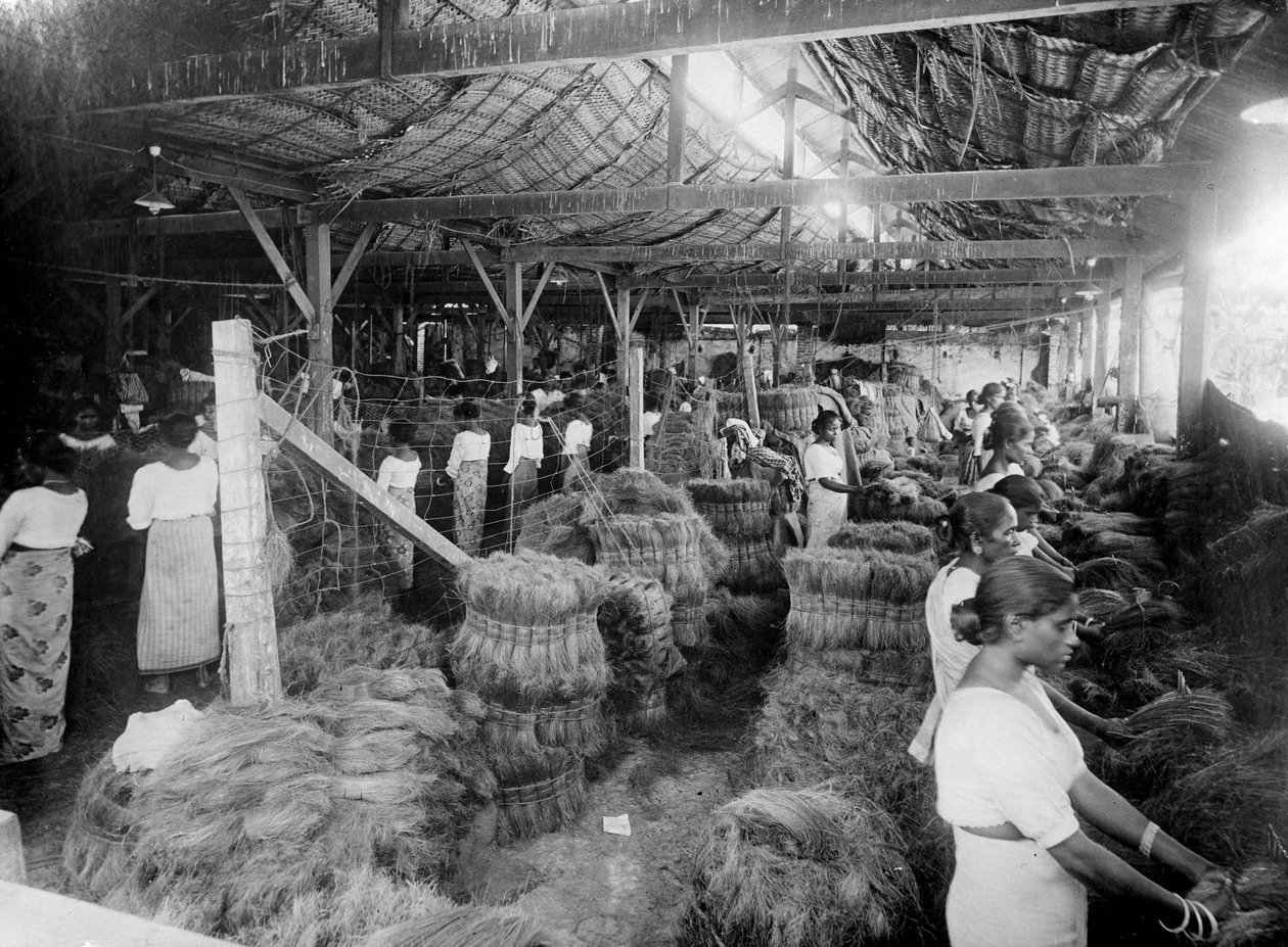 Kookoksen tuotanto, Intia, 1900-luku tekijältä Unbekannt