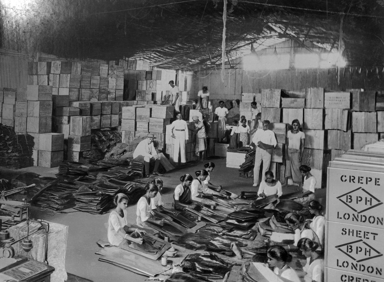 Kookoksen tuotanto, Intia, 1900-luku tekijältä Unbekannt