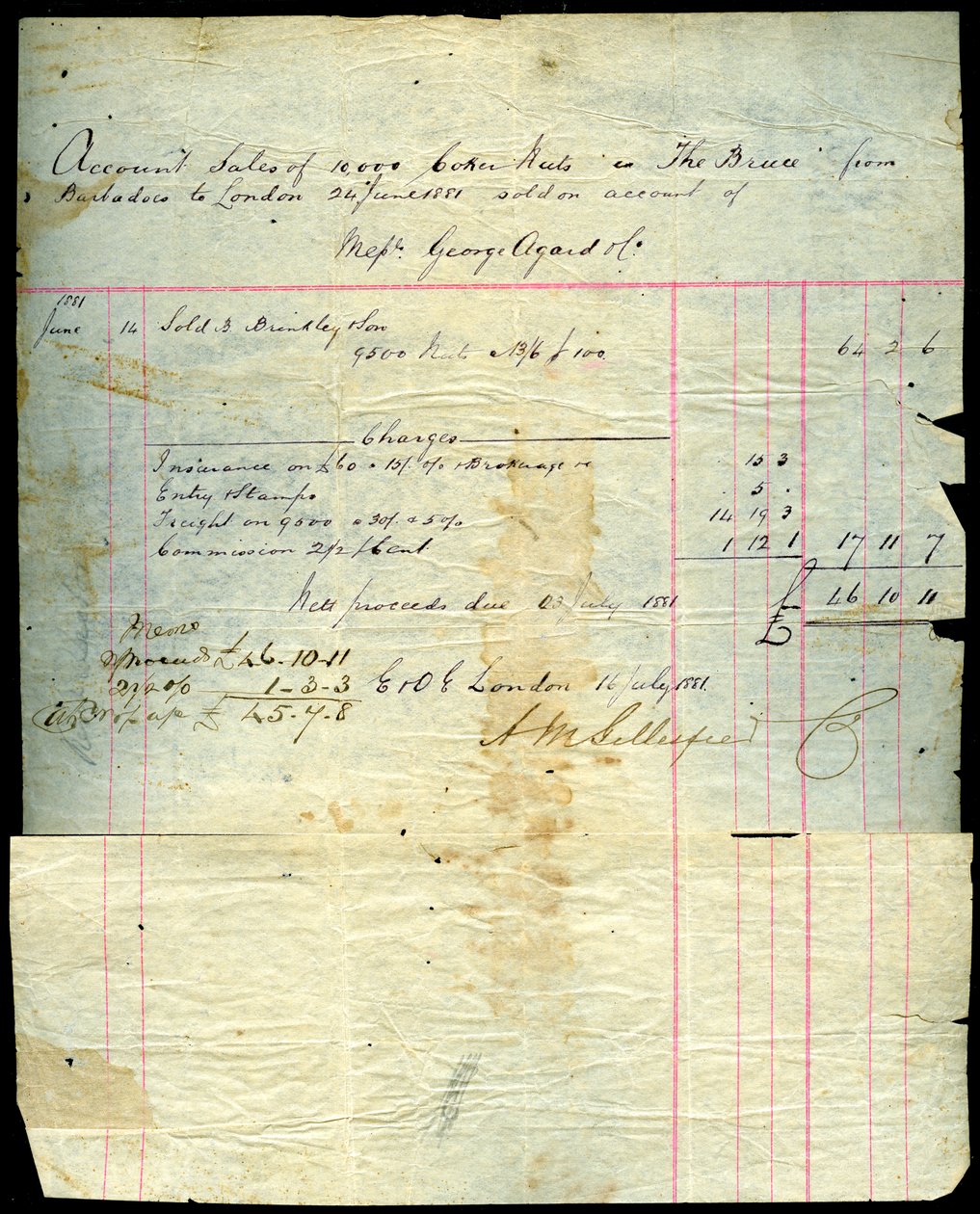 Kookoskuitti, Barbados - Lontoo, 1881 tekijältä Unbekannt