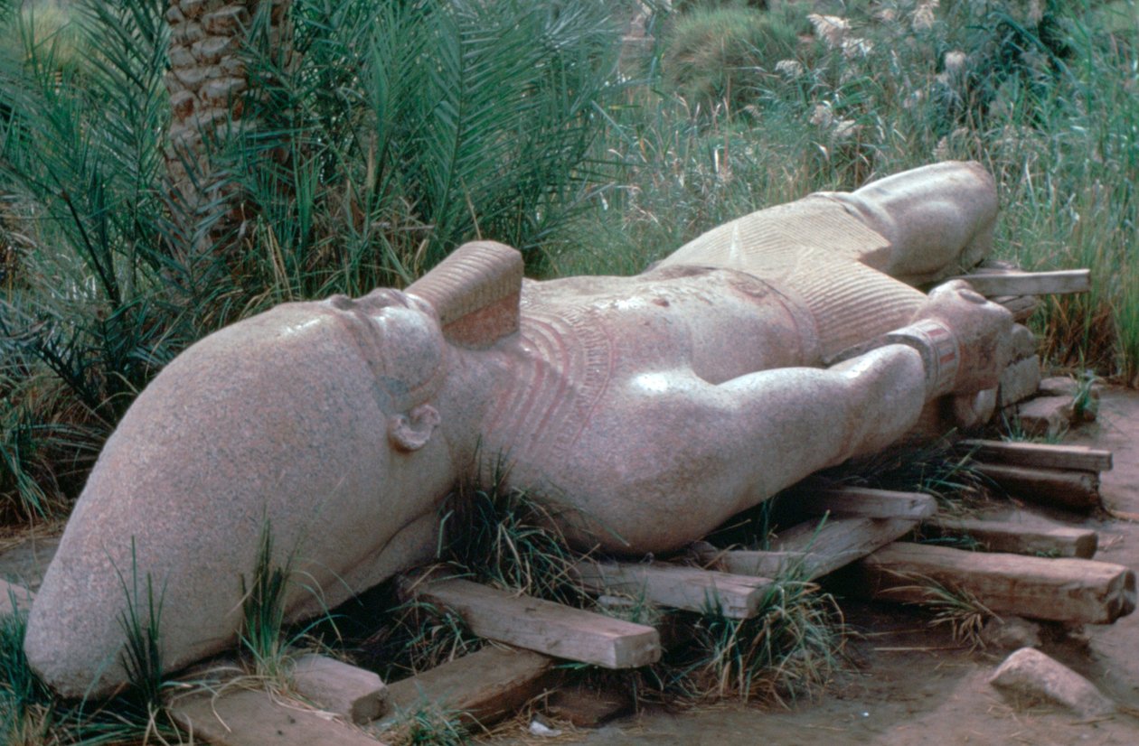 Rameses I:n kolossaalinen patsas in situ, Memphis, Egypti, 1200-luku eKr. tekijältä Unbekannt