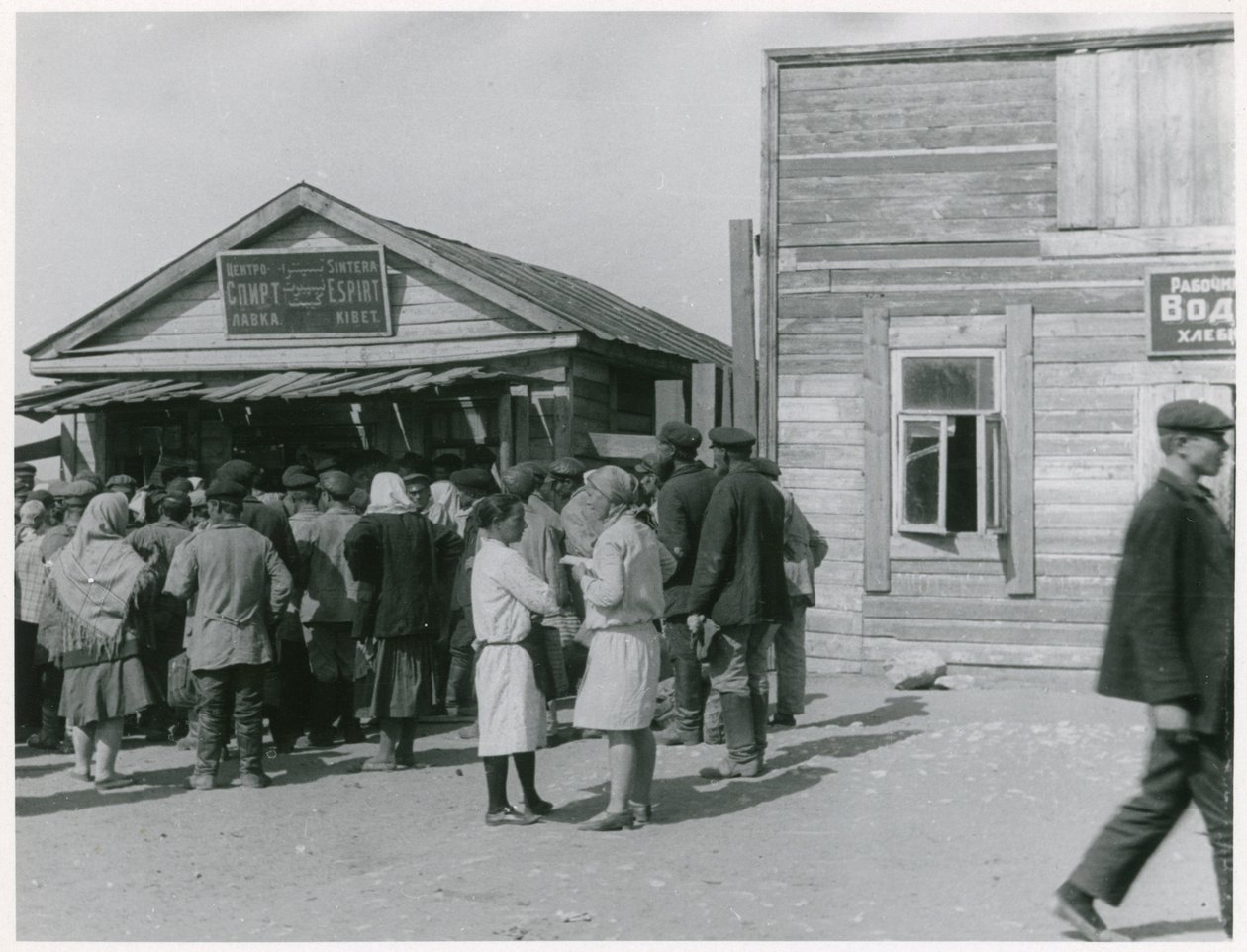 Kommunistinen maatalouden kollektivisointi, Neuvostoliitto, 1930-luvun alku tekijältä Unbekannt