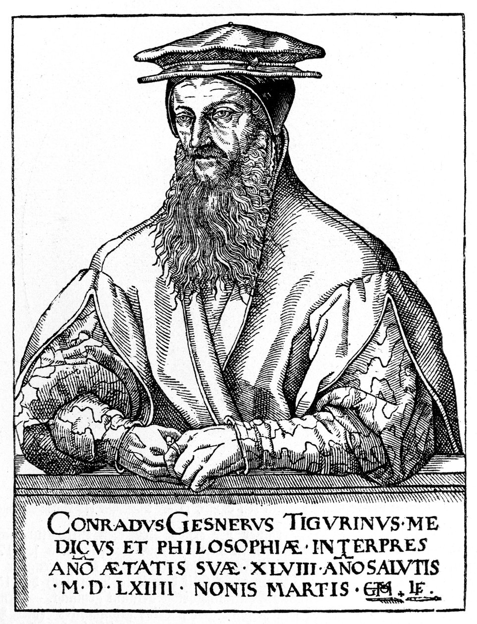 Conrad Gessner, sveitsiläinen luonnontieteilijä, 1887 tekijältä Unbekannt