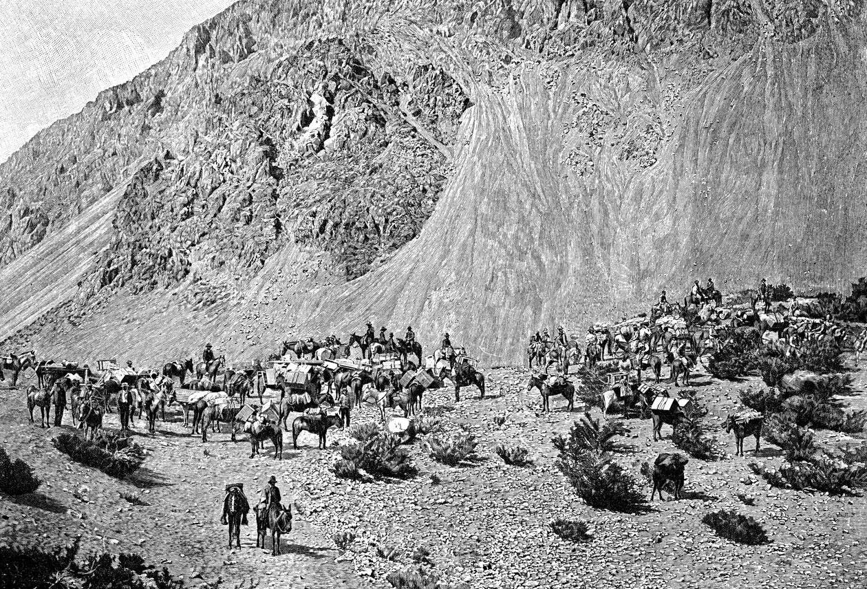 Muleteerien saattue Cordilleran juurella, Etelä-Amerikassa, 1895 tekijältä Unbekannt