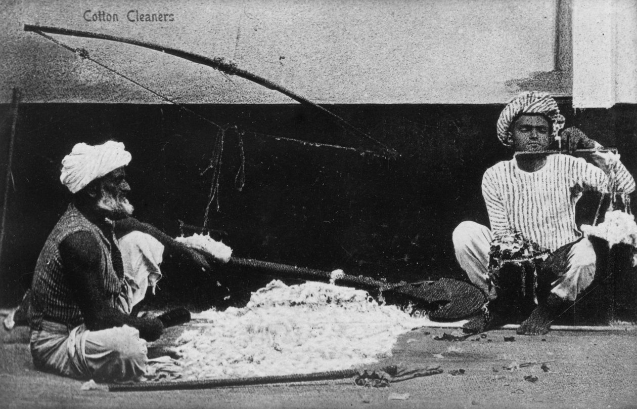 Puuvillan puhdistusaineet, Intia, 1900-luku tekijältä Unbekannt