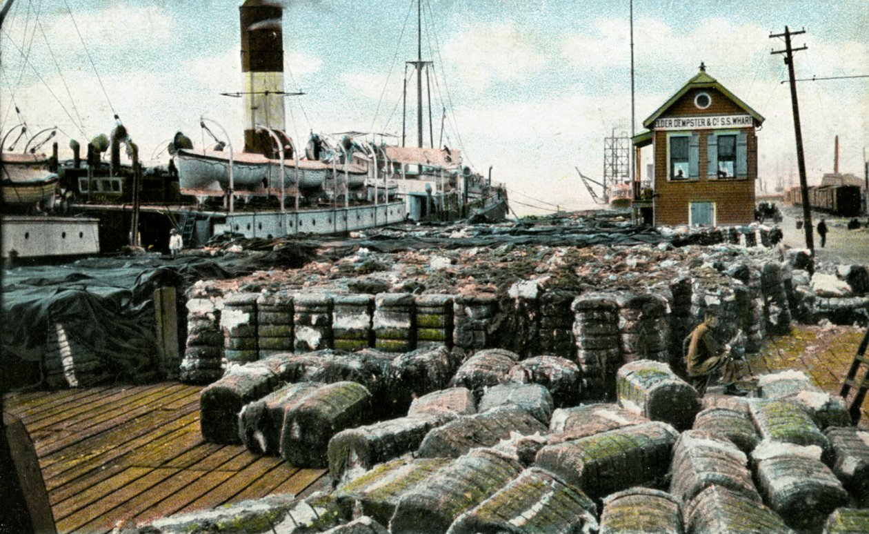 Cotton Wharves, New Orleans, Louisiana, USA, 1900-luvun alku tekijältä Unbekannt