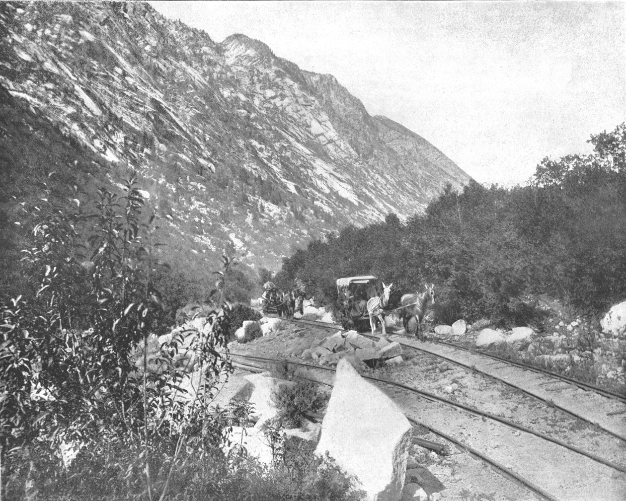 Cottonwood Canyon, Utah, USA, c1900. tekijältä Unbekannt