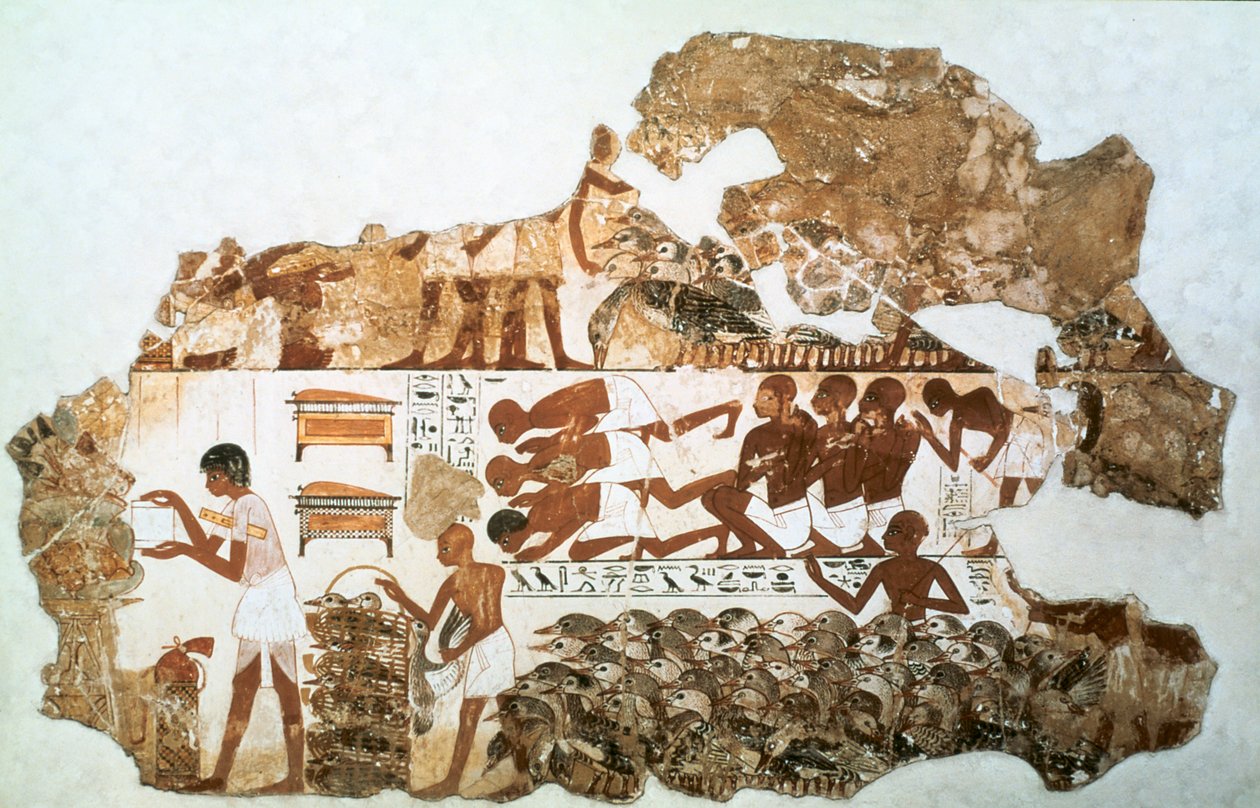Hanhien laskeminen: katkelma seinämaalauksesta Nebamunin haudasta, Thebes, Egypti, n. 1350 eaa. tekijältä Unbekannt
