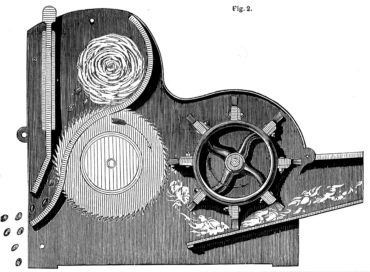 Poikkileikkaus Eli Whitneys 1765-1825 saha-ginistä puuvillan puhdistamiseen, 1865 tekijältä Unbekannt