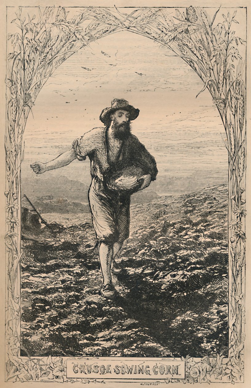 Crusoe kylvömaissi, c1870 tekijältä Unbekannt