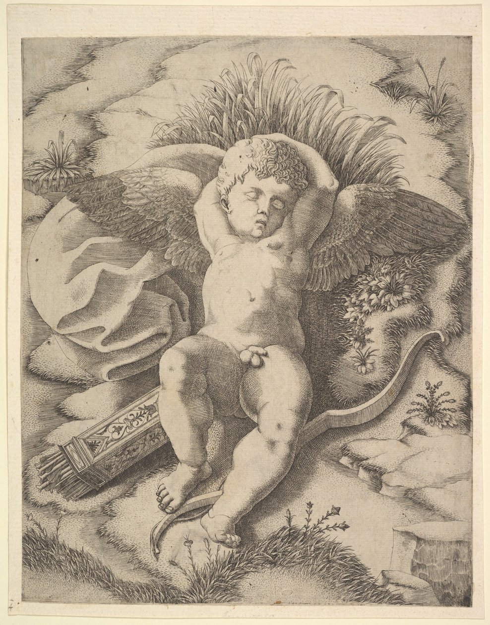 Cupid Sleeping, 1500-luku. tekijältä Unbekannt