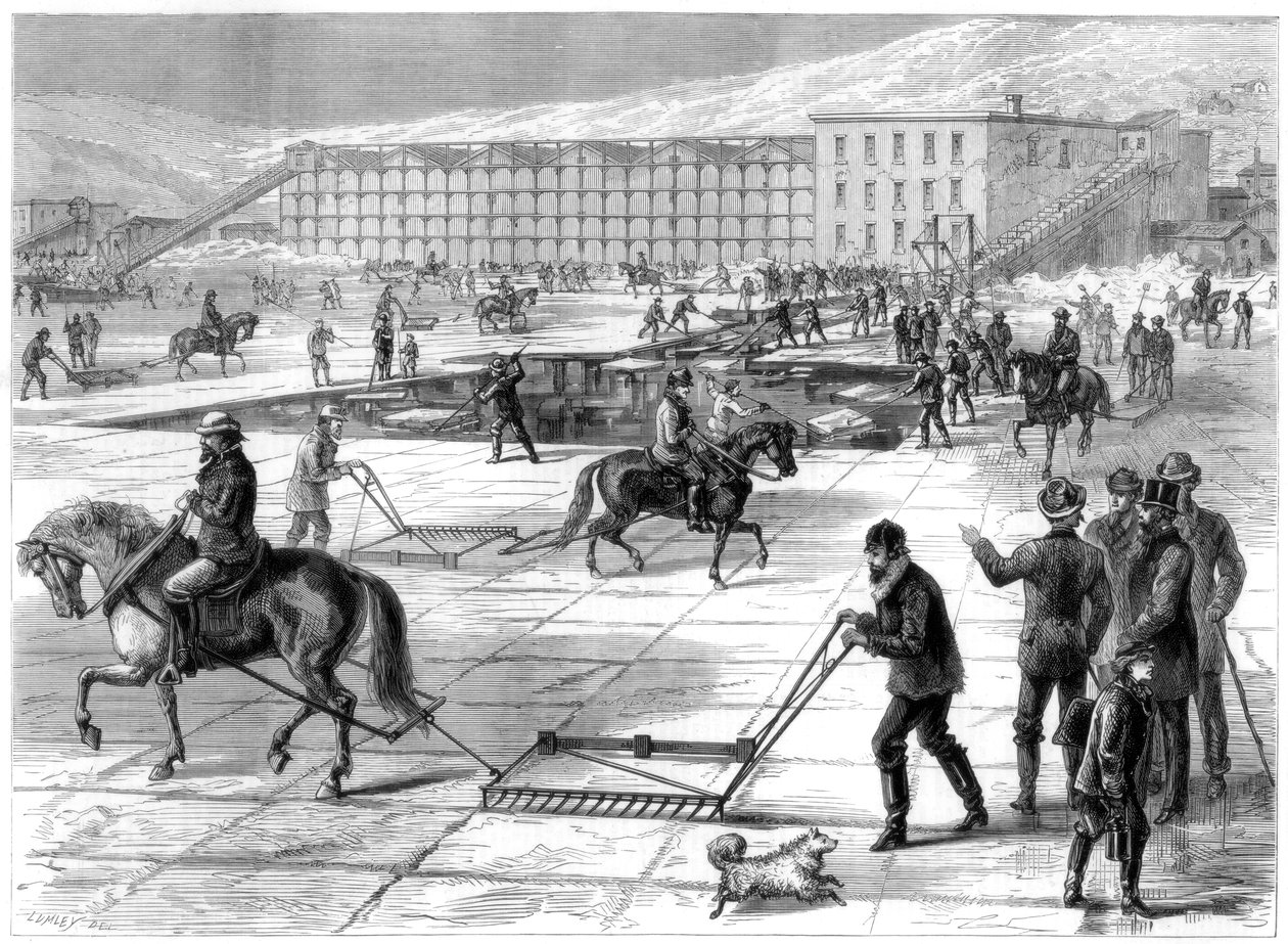 Jään leikkaaminen ja varastointi Hudson-joella, New York, USA, 1875 tekijältä Unbekannt