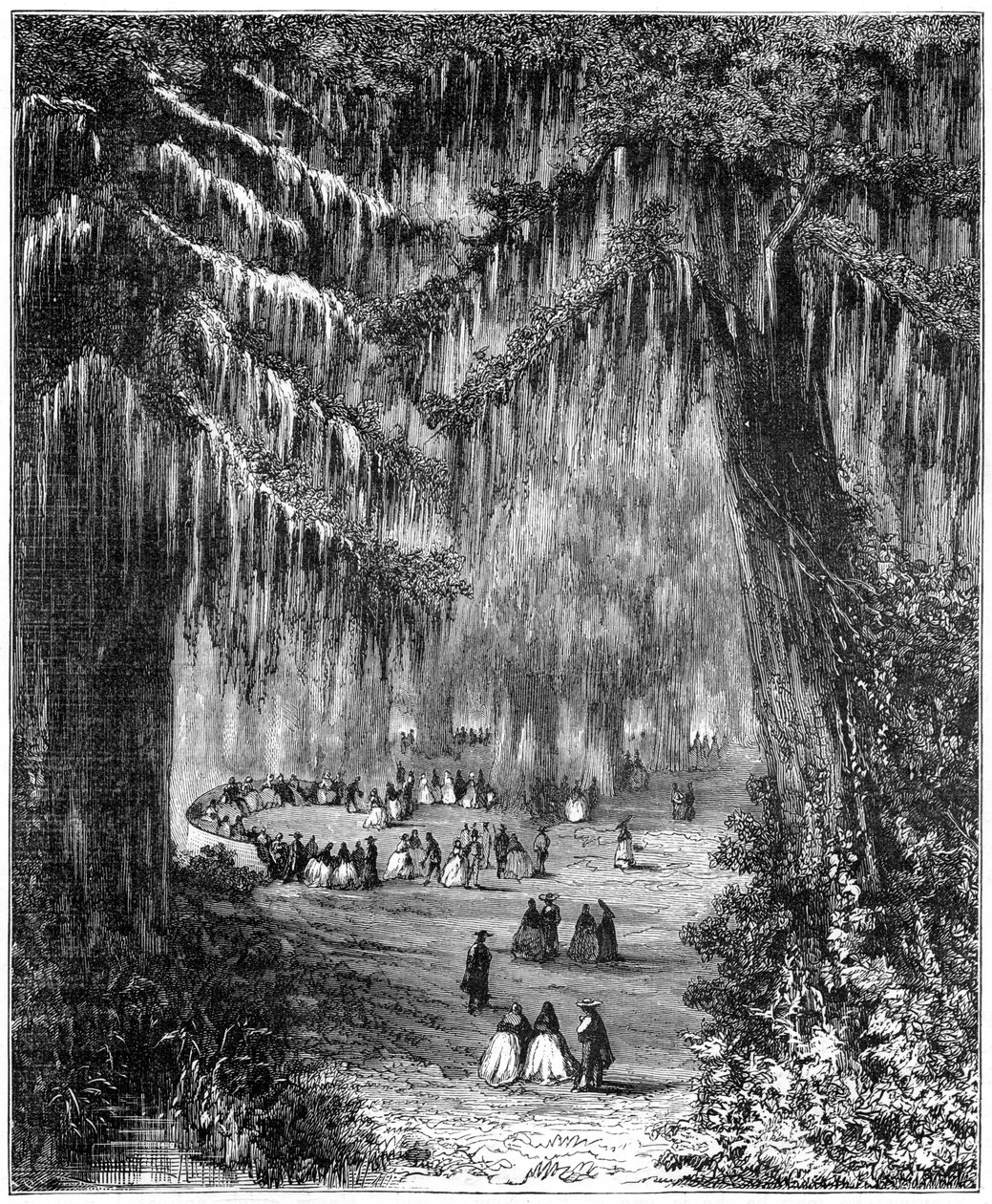 Sypressilehto Chapultepecissä, Mexico Cityssä, 1877 tekijältä Unbekannt
