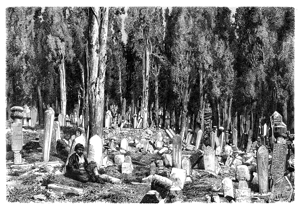 Sypressipuut Scutarin hautausmaalla, Turkissa, 1895 tekijältä Unbekannt