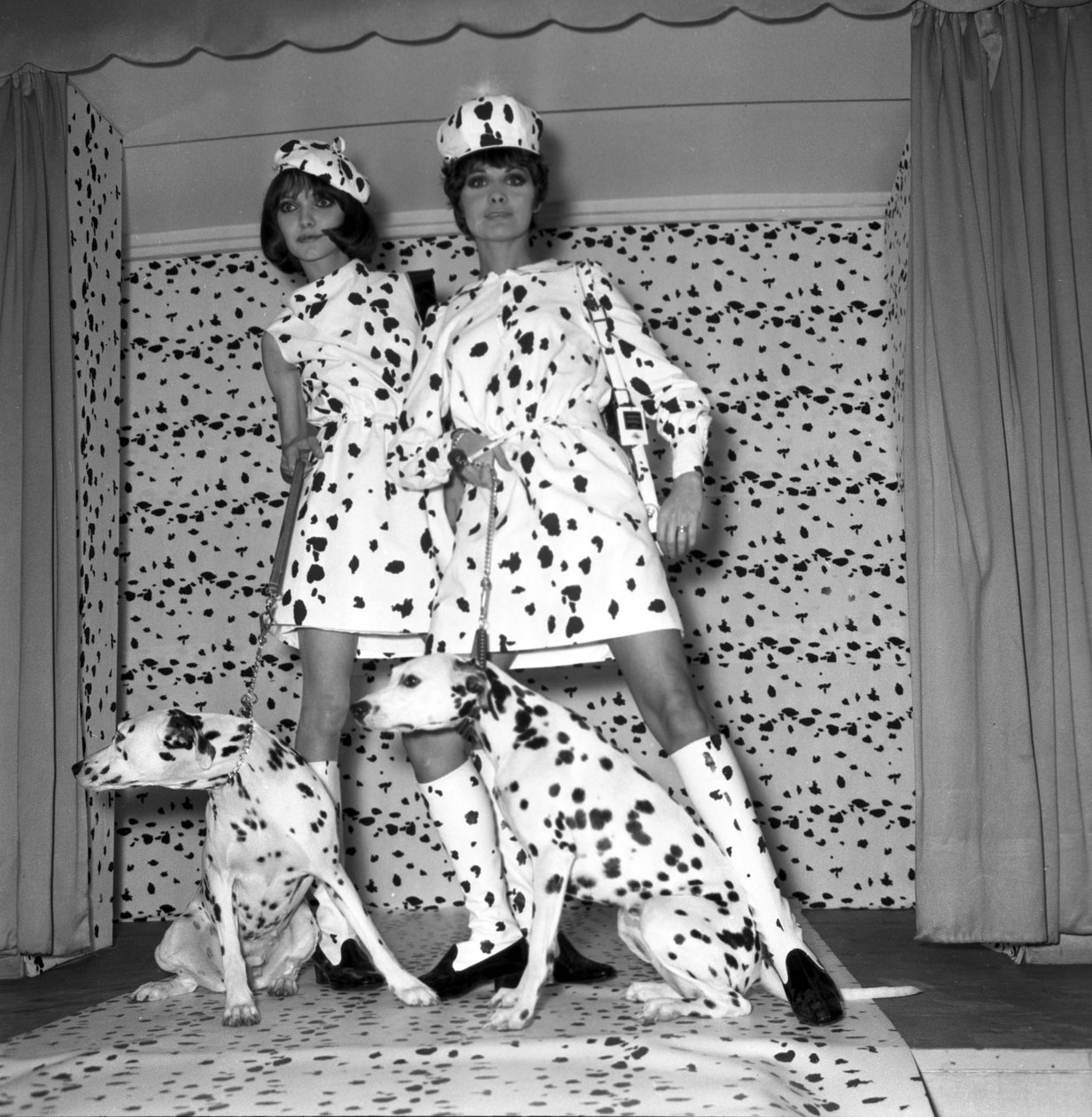Dalmatialainen tila tekijältä Unbekannt