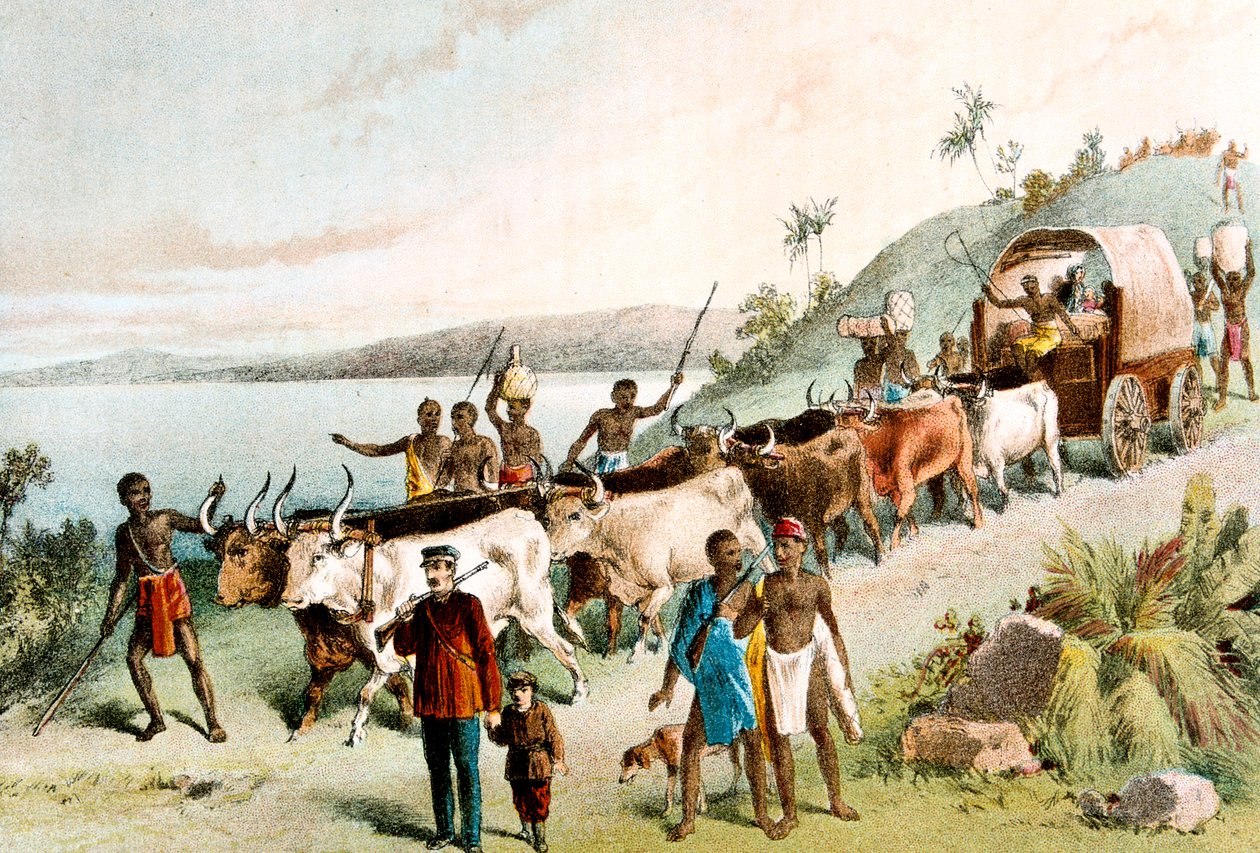 David Livingstone, skotlantilainen lähetyssaarnaaja ja Afrikan tutkimusmatkailija, 1849 c1878 tekijältä Unbekannt