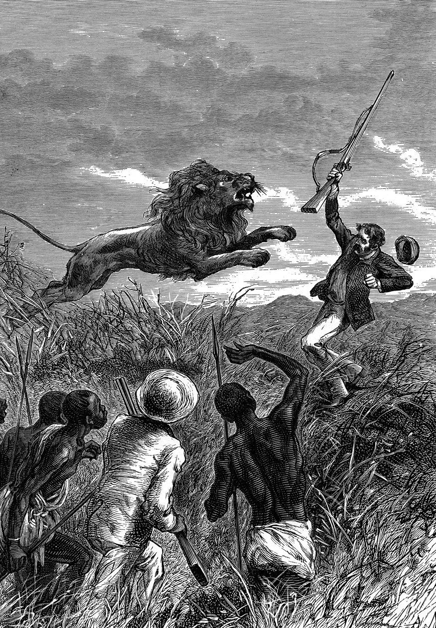 David Livingstone, skotlantilainen lähetyssaarnaaja ja Afrikan tutkimusmatkailija, leijonan hyökkäyksessä, 1860 tekijältä Unbekannt