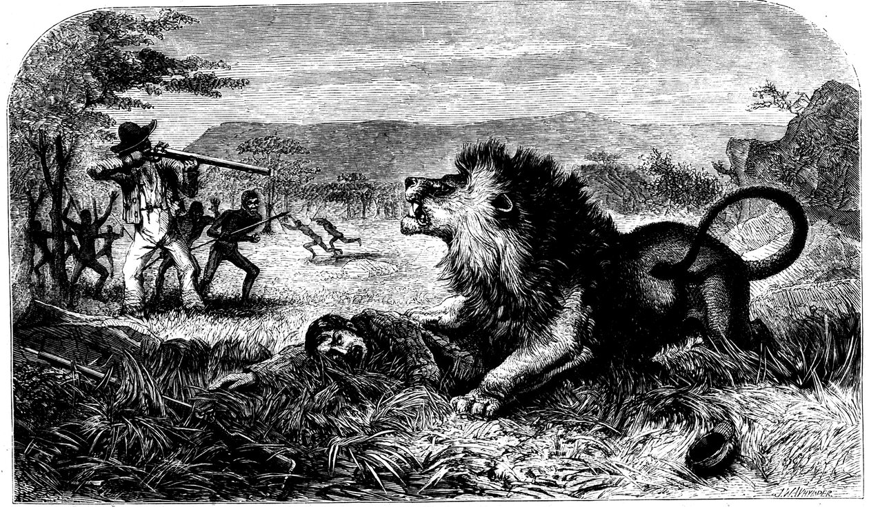 David Livingstone, syntyperäinen koulumestari Mebalwe pelasti leijonalta, 1857 tekijältä Unbekannt