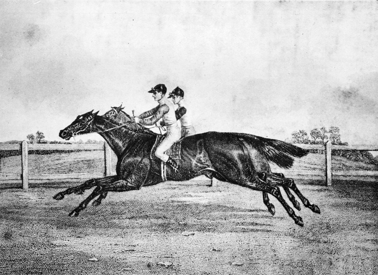 Dead-Heat Lanercostin ja Beeswingin välillä, 1835-1850, 1911 tekijältä Unbekannt