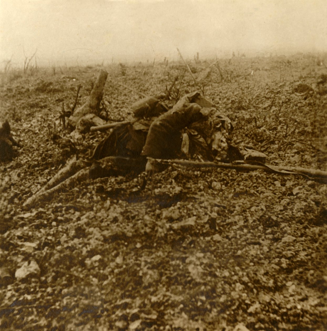 Kuollut sotilas kukkulalla 304, Verdunin taistelun jälkeen, Pohjois-Ranskassa, 1916 tekijältä Unbekannt