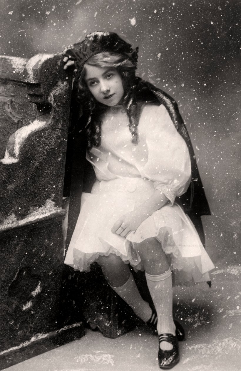 Decima Brooke Punahilkka, 1907 tekijältä Unbekannt
