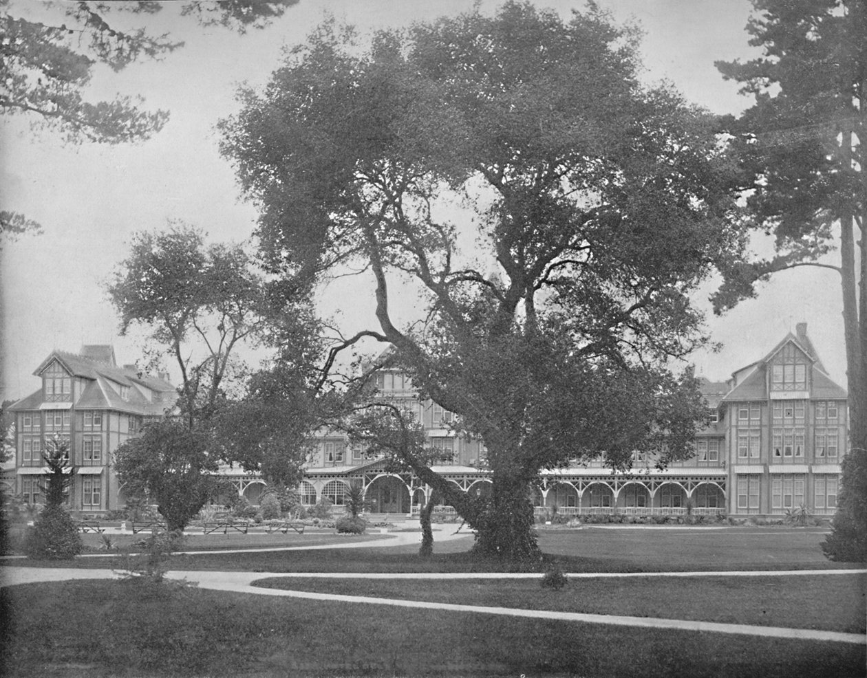 Del Monte, Monterey, Kalifornia, 1897. tekijältä Unbekannt