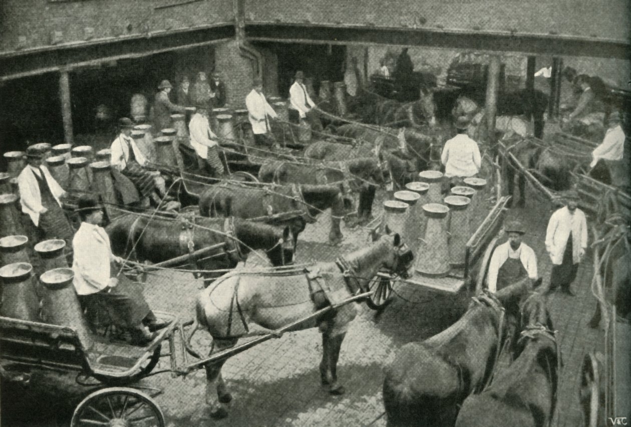 Toimituspakettiautot alkaen Messrs, Freeth and Pococks Central Depotista Vauxhallissa, 1902. tekijältä Unbekannt