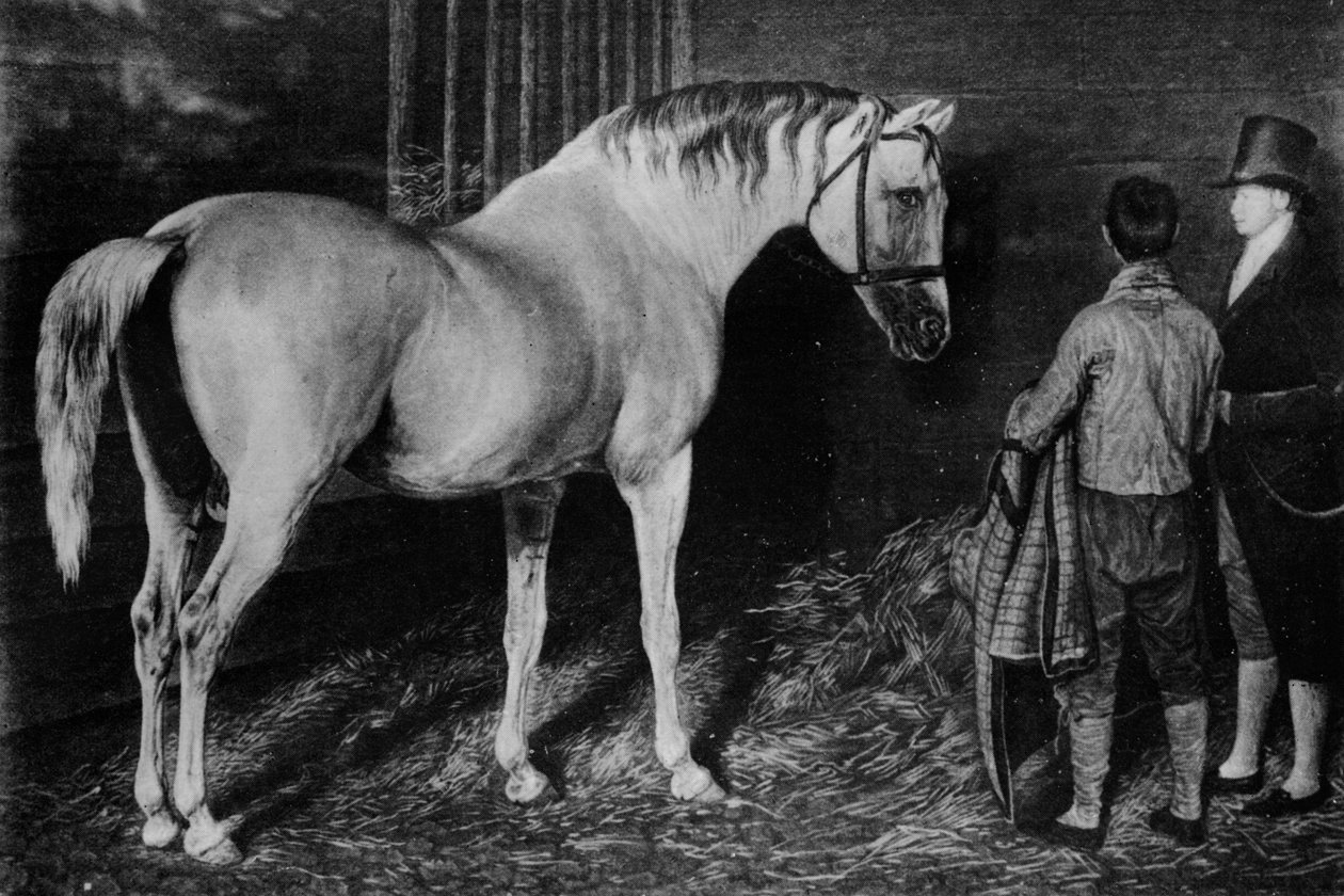 Delpini ja Squire Wharton of Skeleton Castle, 1700-luku, 1911 tekijältä Unbekannt