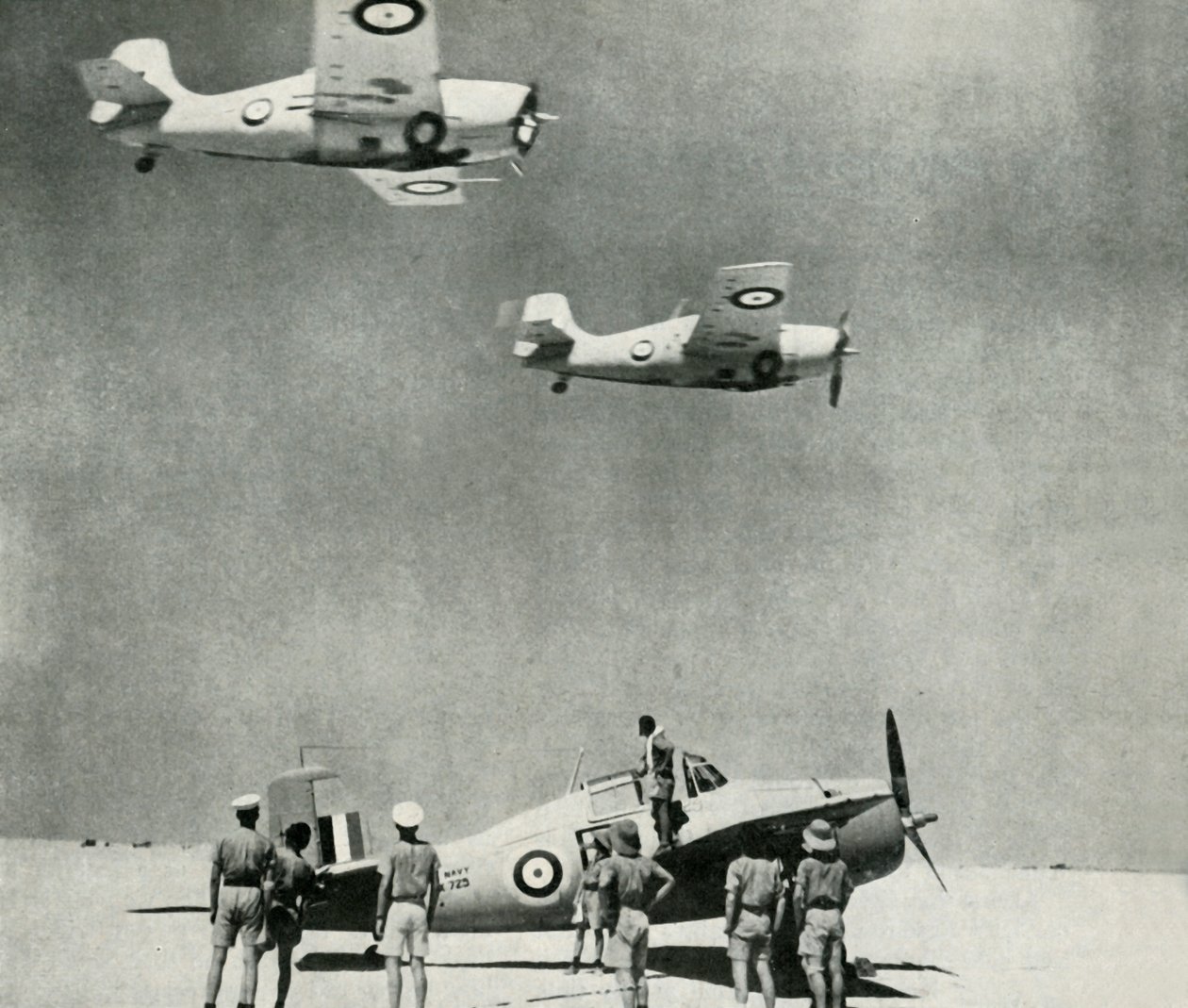 Desert Squadron - Fleet Air Armin koneet toisen maailmansodan aikana, c1943. tekijältä Unbekannt