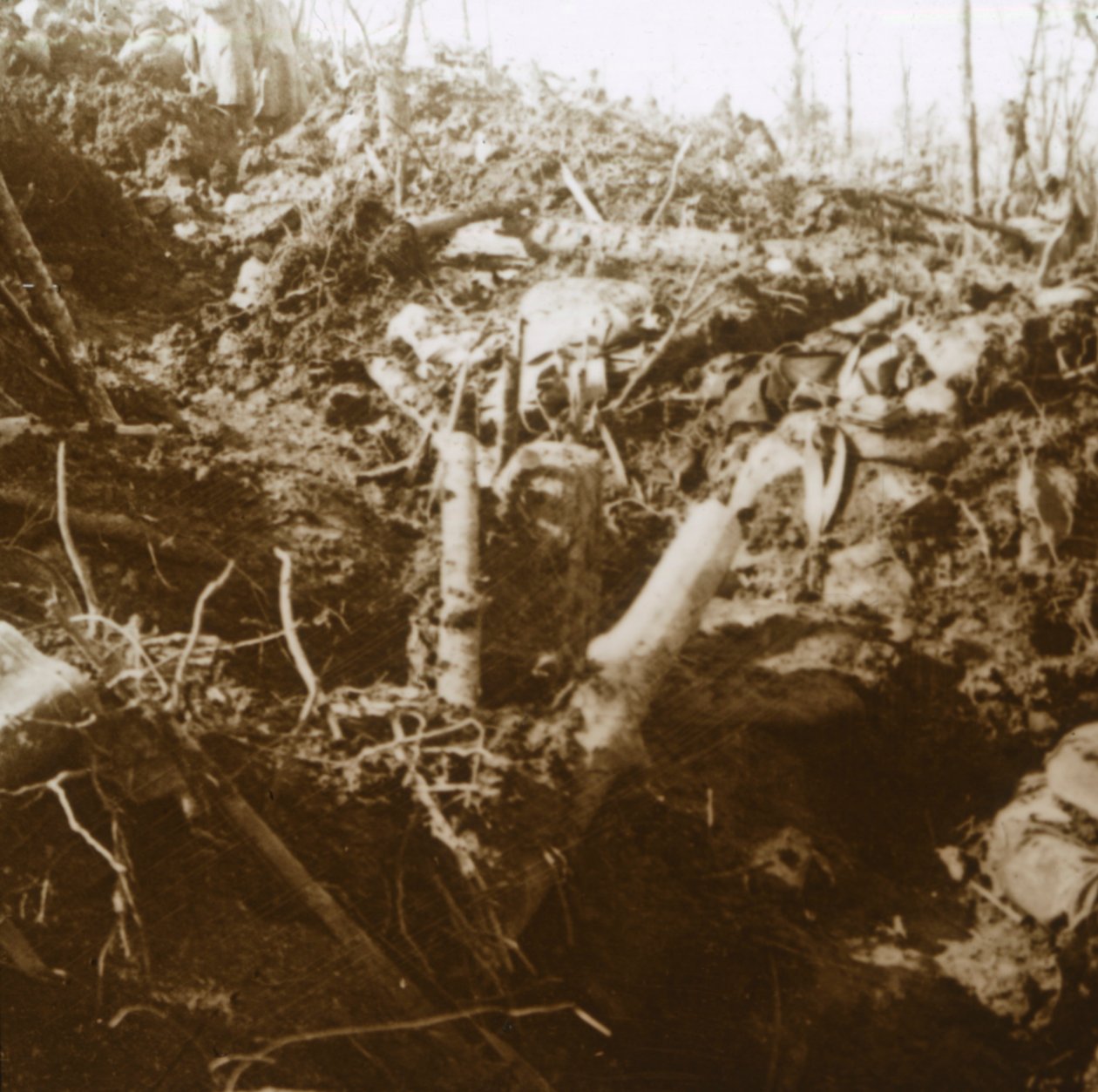 Tuhoutunut suoja, Les Éparges, Pohjois-Ranska, 1915. tekijältä Unbekannt