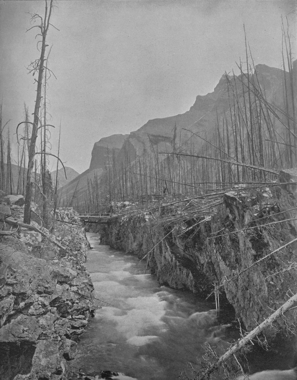 Devils Canyon, Banff, N. W. T., Kanada, n. 1897. tekijältä Unbekannt